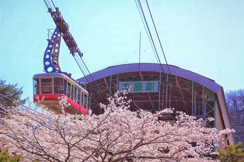 FukuokaDazaifu,Yufuin Village,Beppu Ropeway,Kamado Jigoku - Key Points