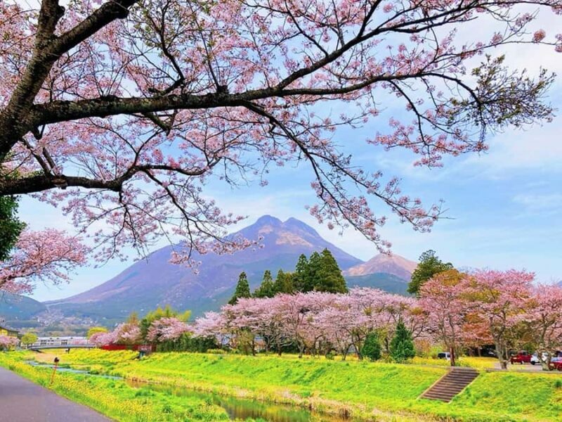FukuokaDazaifu,Yufuin Village,Beppu Ropeway,Kamado Jigoku - How This Tour Balances Value and Experience