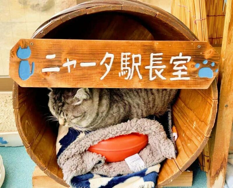 FukuokaDazaifu,Yufuin Village,Beppu Ropeway,Kamado Jigoku - Final Thoughts