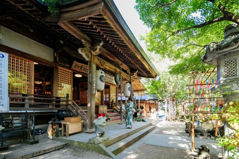 Fukuoka:Frog Temple, Beppu Hell Springs Tickets Incl &Yufuin - Frequently Asked Questions