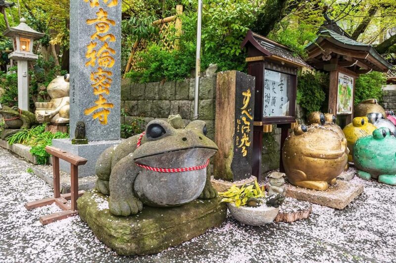 Fukuoka:Kyushu Tour With Dazaifu, Nyoirin-Ji Temple, Yufuin - Visiting the Enchanting Nyoirinji Temple