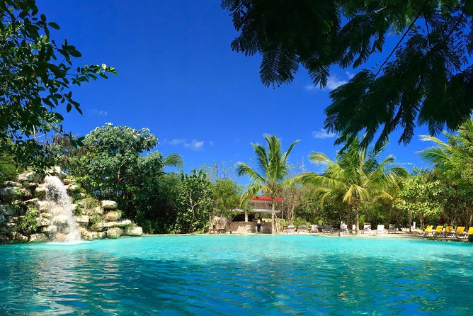Full Access To Bavaro Adventure Park - With Buggys & Lunch - Natural Surroundings and Experiences
