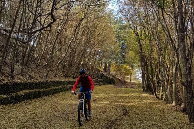 Full Circuit of Etna by MTB Small Group - Tour Overview