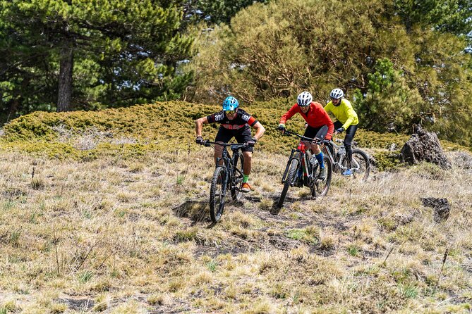 Full Circuit of Etna by MTB Small Group - Meeting Information