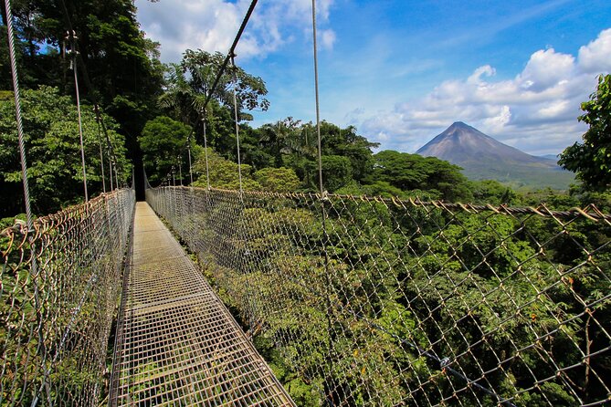 Full Combo! Hanging Bridges, Arenal Volcano, La Fortuna Waterfall - Arenal Volcano National Park