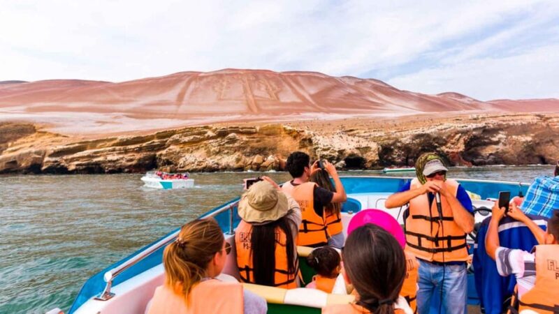 Full D Ballestas Islands – Nasca Lines Overflight From Pisco - Key Points