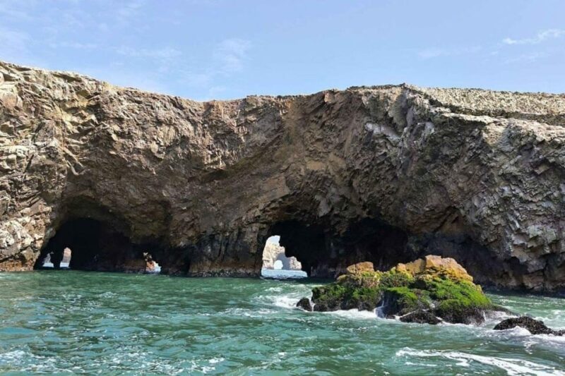 Full D Ballestas Islands – Nasca Lines Overflight From Pisco - Itinerary