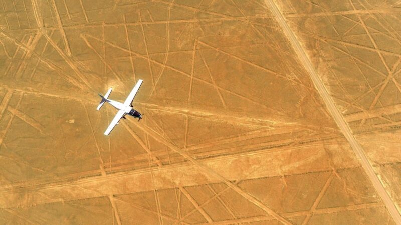Full D Ballestas Islands – Nasca Lines Overflight From Pisco - Booking Information