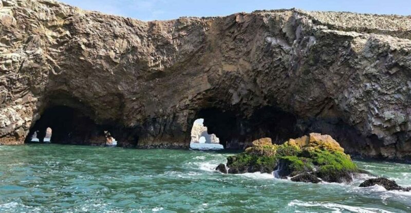 Full D Ballestas Islands – Nasca Lines Overflight From Pisco - Departure and Arrival Times