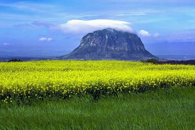 Full Day 12 hours whole Jeju Island private flexible tour - Exploring Jeju Island in One Day: A Balanced Look at the Full Day Private Tour