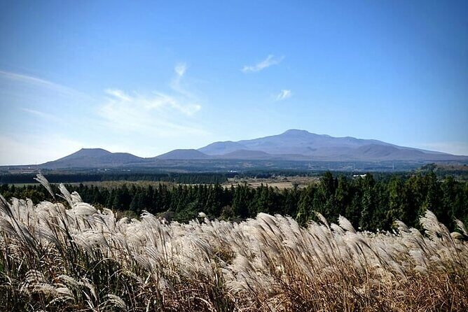 Full Day 12 hours whole Jeju Island private flexible tour - The Overview: Why Choose This Tour?