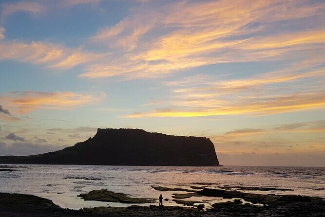 Full Day 12 hours whole Jeju Island private flexible tour - Cost and Value: Is It Worth It?