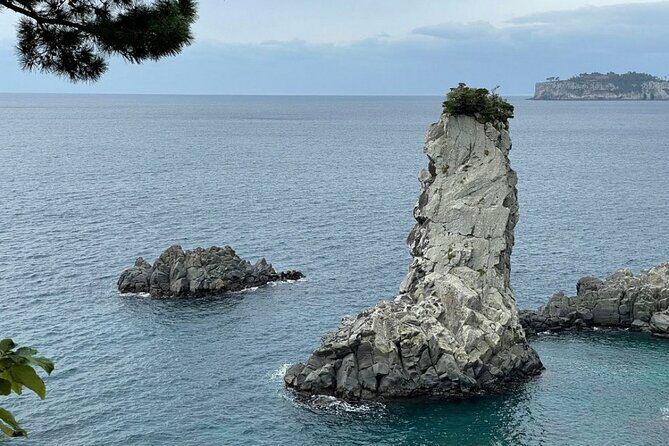 Full Day 12 hours whole Jeju Island private flexible tour - The Sum Up