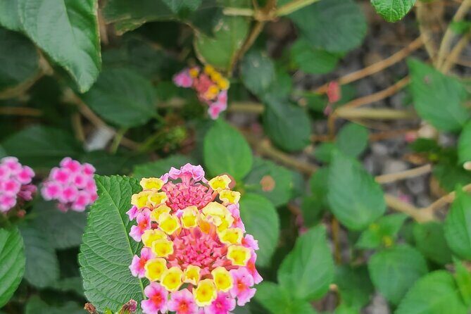 Full Day 12 hours whole Jeju Island private flexible tour - FAQ