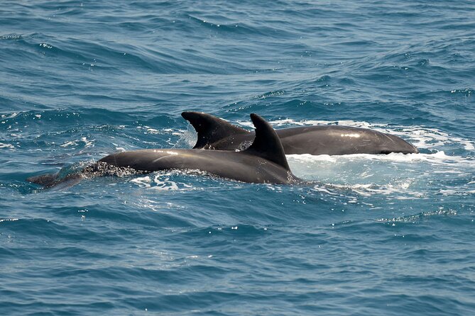 Full Day 3-Island Boat Cruise From Port of Kos - Onboard Amenities