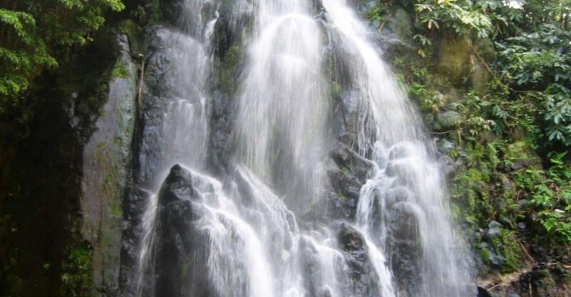 Full-Day 4x4 Nordeste Azores Tour From Ponta Delgada - Booking Information