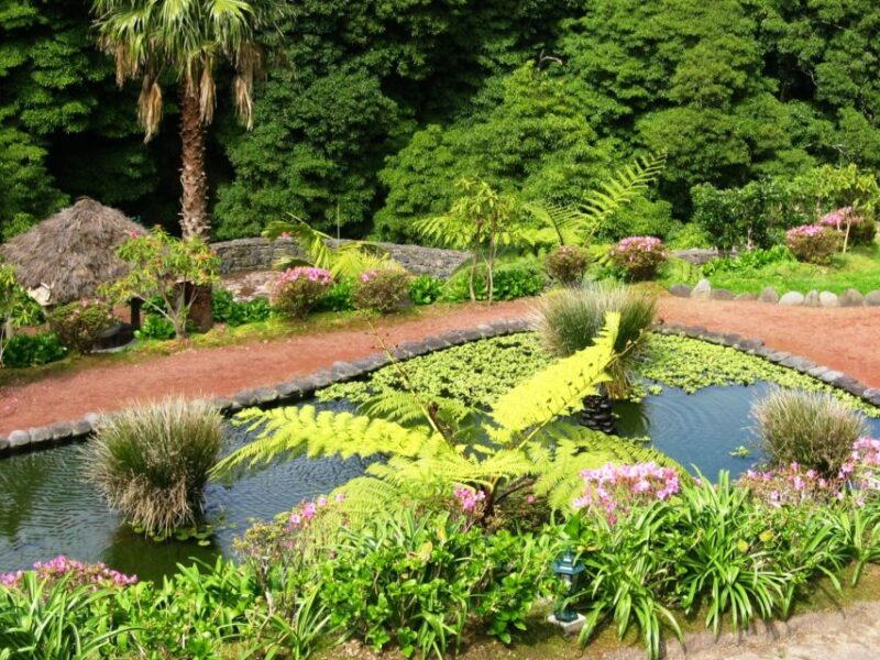 Full-Day 4x4 Nordeste Azores Tour From Ponta Delgada - Customer Reviews and Ratings