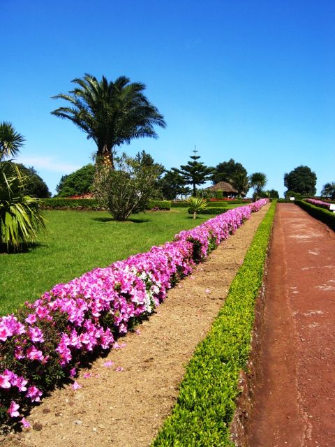 Full-Day 4x4 Nordeste Azores Tour From Ponta Delgada - Scenic Tronqueira Mountain Trail