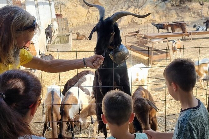 Full Day 4x4 Self-Drive Safari Tour in Crete With BBQ Lunch - Requirements