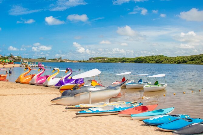 Full Day 4x4 South Coast Tour - Cancellation and Reviews