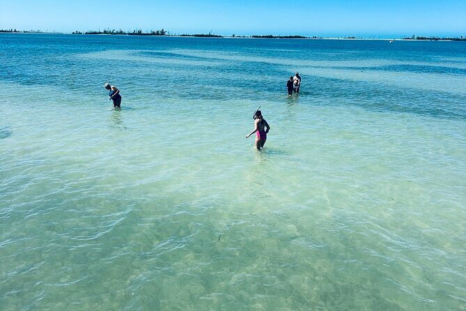 Full Day (6 hours) Sanibel Eco Boat Charter, Gulf and Pine Island - Practical Details and Booking