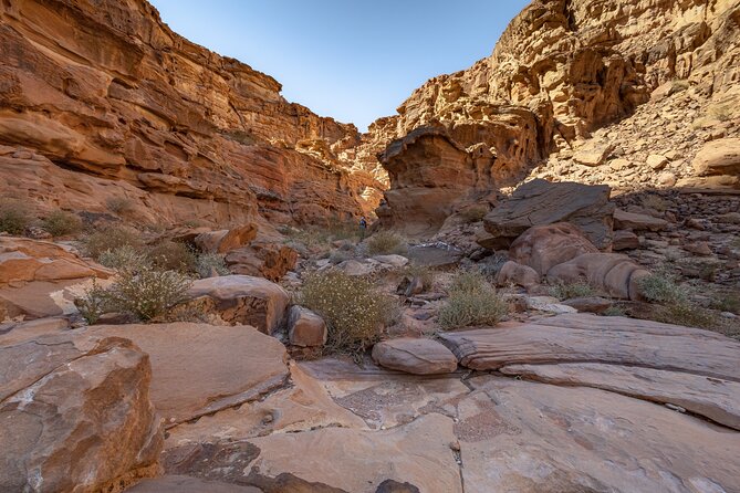 Full-Day 8 Hour Jeep Tour Into Wadi Rum Protected Area With Stay - Accessibility and Health Restrictions