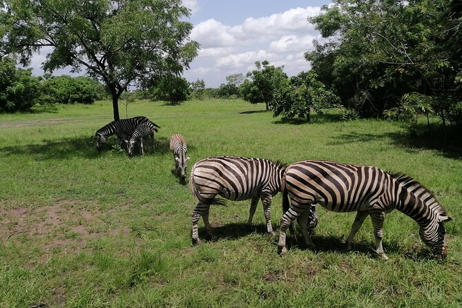 Full-Day Accra Safari and Boat Cruise Private Tour - Flexible Itinerary