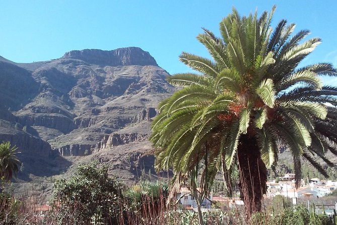 Full Day Across the Island Tour From Las Palmas - Transportation and Accessibility