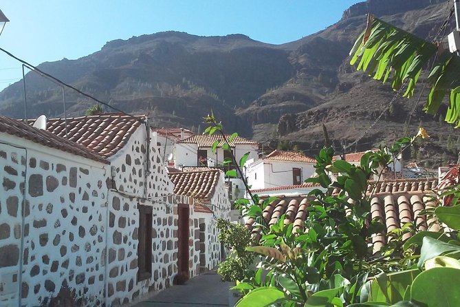 Full Day Across the Island Tour From Las Palmas - Age and Group Restrictions