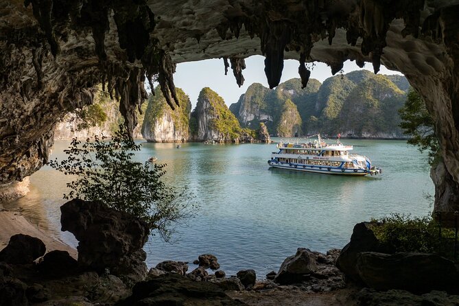 Full-Day Activity Ha Long Bay of Vietnam From Ninh Binh - Client Reviews