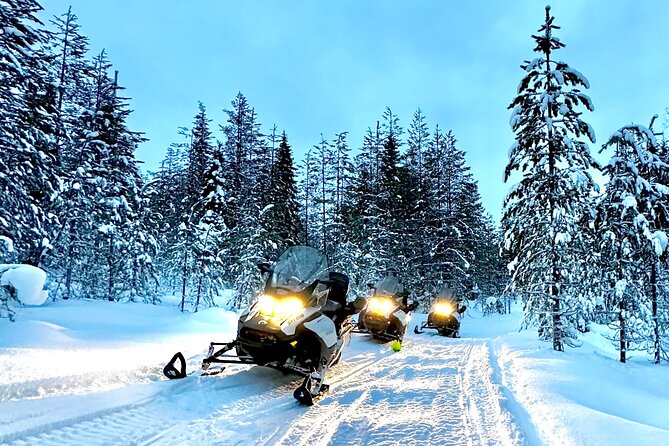 Full Day Activity With Snowmobiles in Rovaniemi - Customer Reviews