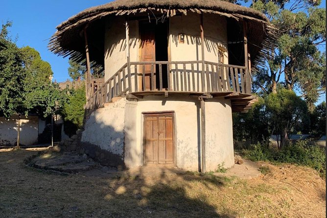 Full Day Addis Abeba City Tour - Tour Logistics and Accessibility