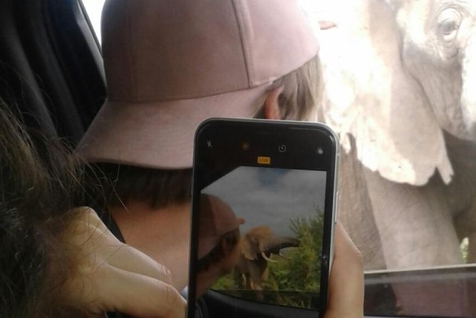 Full Day Addo Elephant National Park Safari Wit BBQ:Thentic Tours - Exceptional Tour Guide Expertise