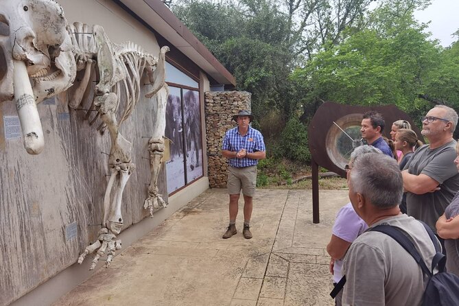 Full-Day Addo Elephant Park & Giraffe Walk Safari - Guest Requirements