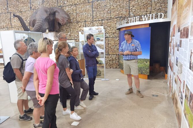 Full-Day Addo Elephant Park & Giraffe Walk Safari - Booking Details