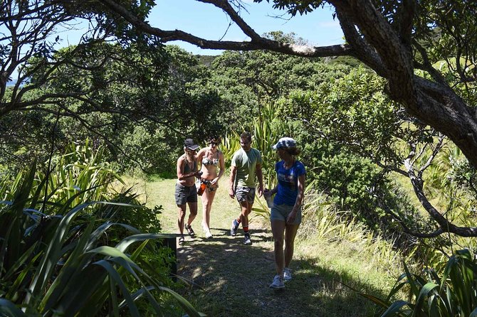 Full-Day Adventure Cruise With Lunch in Bay of Islands - Dietary Requirements