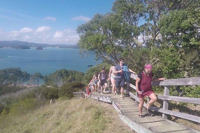 Full-Day Adventure Cruise With Lunch in Bay of Islands - Physical Fitness Level