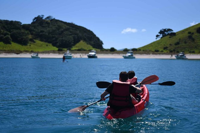 Full-Day Adventure Cruise With Lunch in Bay of Islands - Reviews
