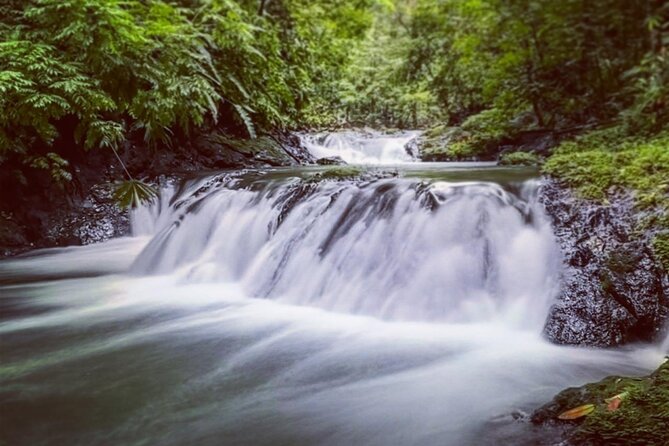 Full-Day Adventure in Corcovado National Park From Drake Bay - Wildlife and Nature Experience