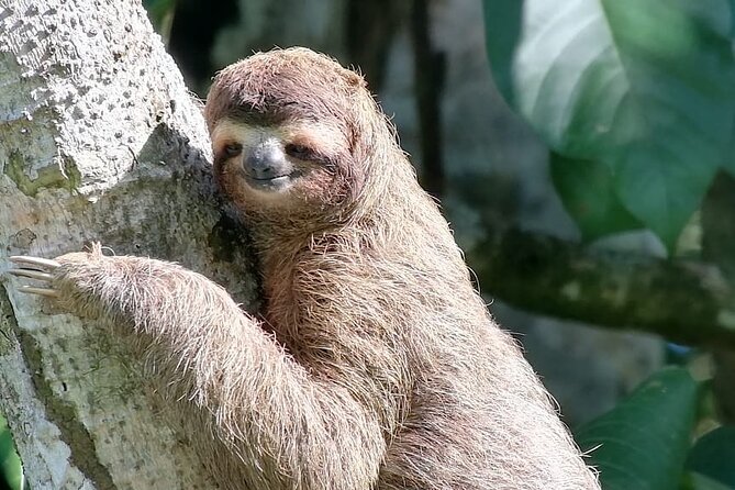 Full-Day Adventure in Corcovado National Park From Drake Bay - Preparing for the Adventure