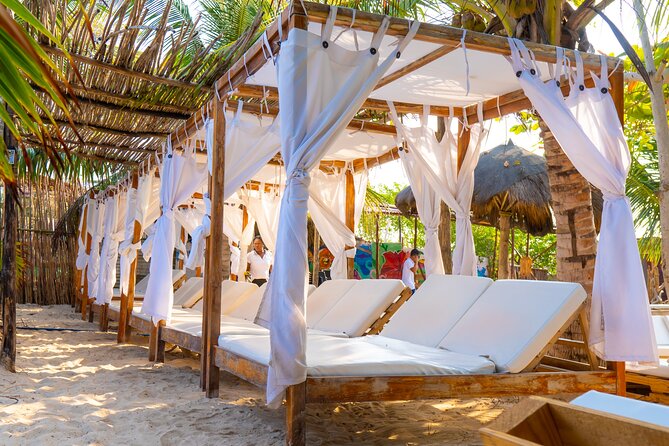 Full Day Adventure Isla Barú + Mangroves + Snorkeling + Bioluminescent Plankton - Taking in Bioluminescent Plankton