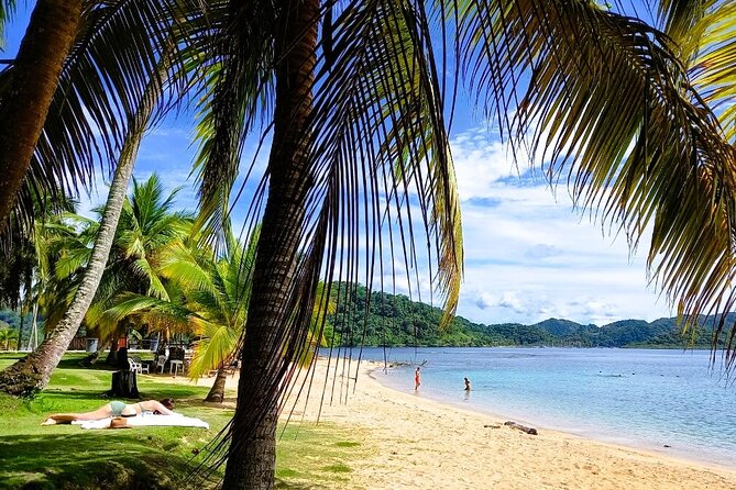 Full-day Adventure to Caribbean Sea: Mamey and Grande Island - Key Points