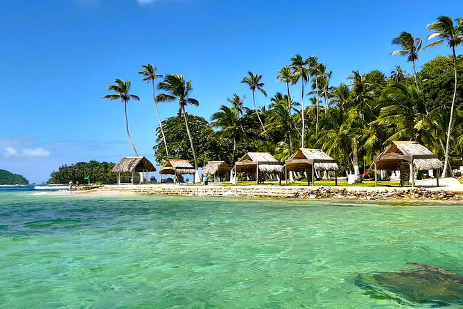 Full-day Adventure to Caribbean Sea: Mamey and Grande Island - Wildlife Observation