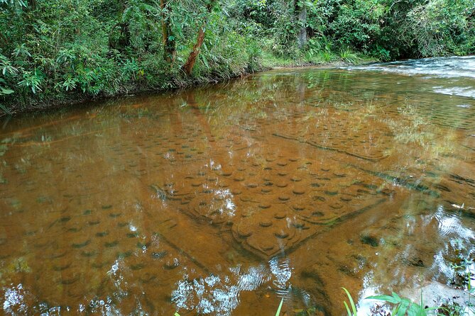 Full Day Adventure Tour Phnom Kulen, Beng Mealea & Kampong Phluk - Explore Phnom Kulen