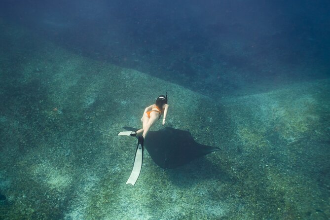 Full-Day Adventure Tour to Komodo Island With Join Speed Boat Tur - Inclusions and Pricing