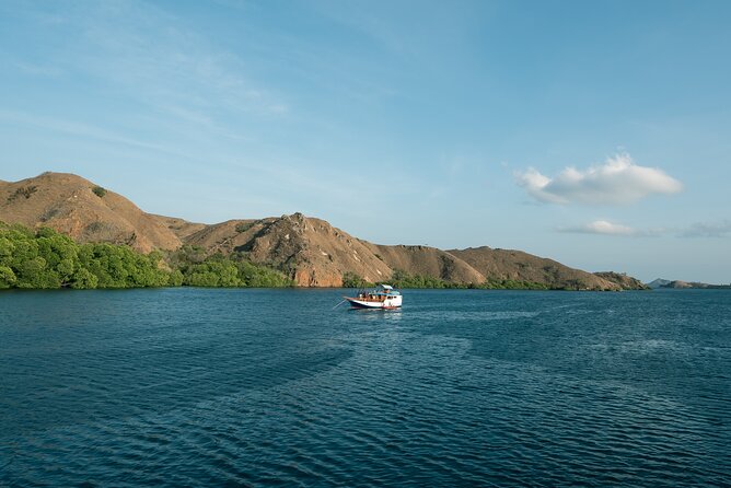 Full-Day Adventure Tour to Komodo Island With Join Speed Boat Tur - Customer Experiences