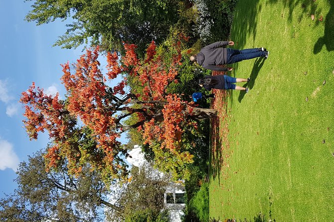 Full Day Afrivista Wine Tours From Stellenbosch - Experience Details