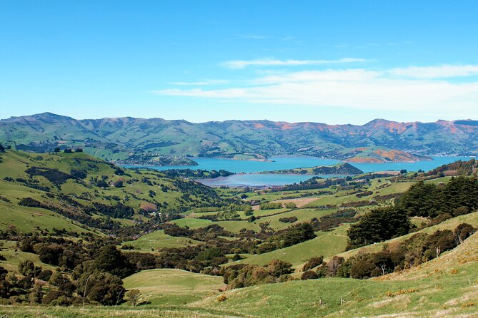 Full-Day Akaroa Tour With Penguins Safari and Wine Tasting - Reviews and Feedback