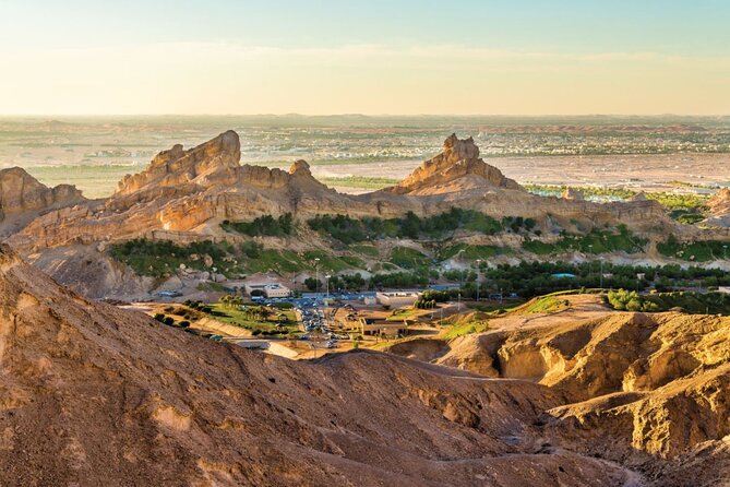 Full Day Al Ain Tour With Lunch From Dubai - Children Policy