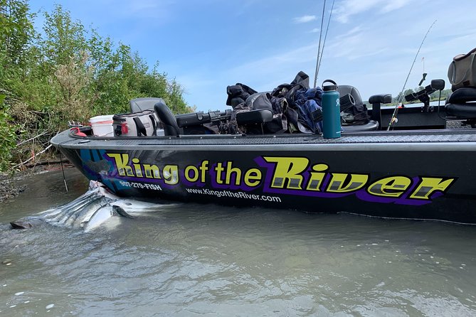 Full Day Alaska Salmon Fishing on the Kenai Peninsula - What to Expect on the Kenai Peninsula Salmon Fishing Adventure
